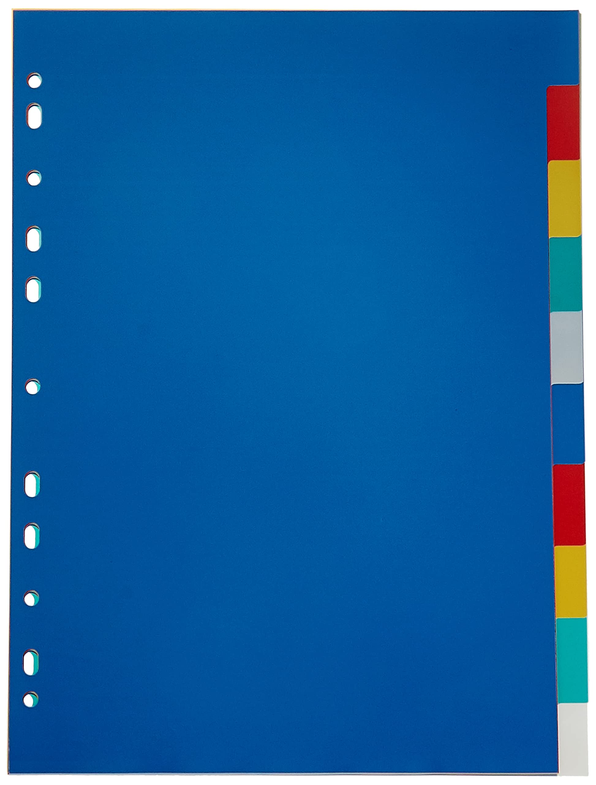 A4 Plastic Binder Dividers 10 Colours, Assorted, Mxdvpp 10C