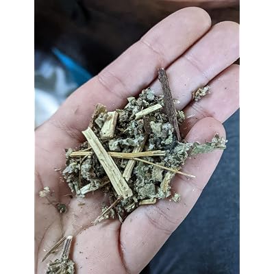 ubuy Chile