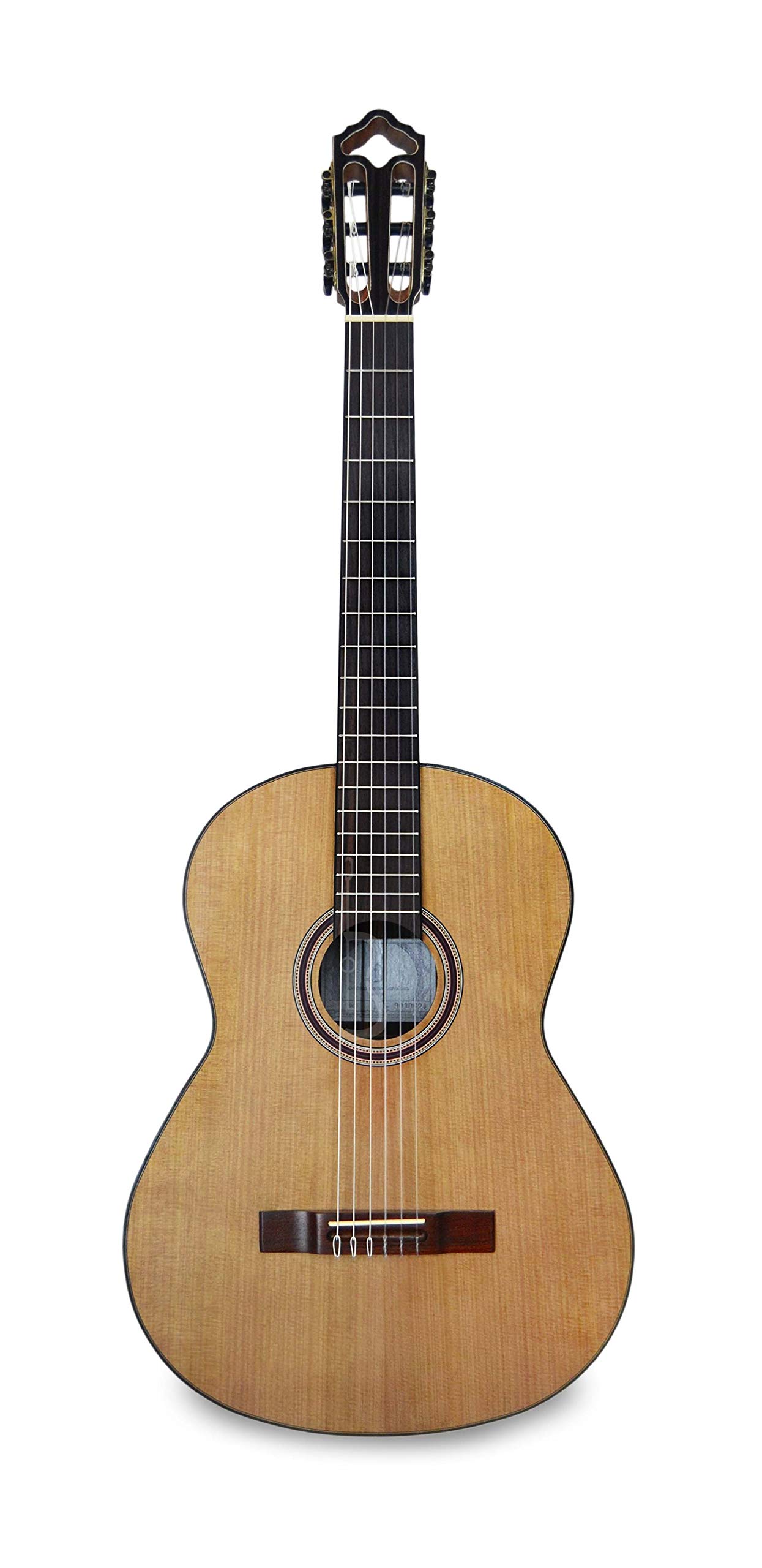 APC Instruments 9C - Instrumento de cuerdas