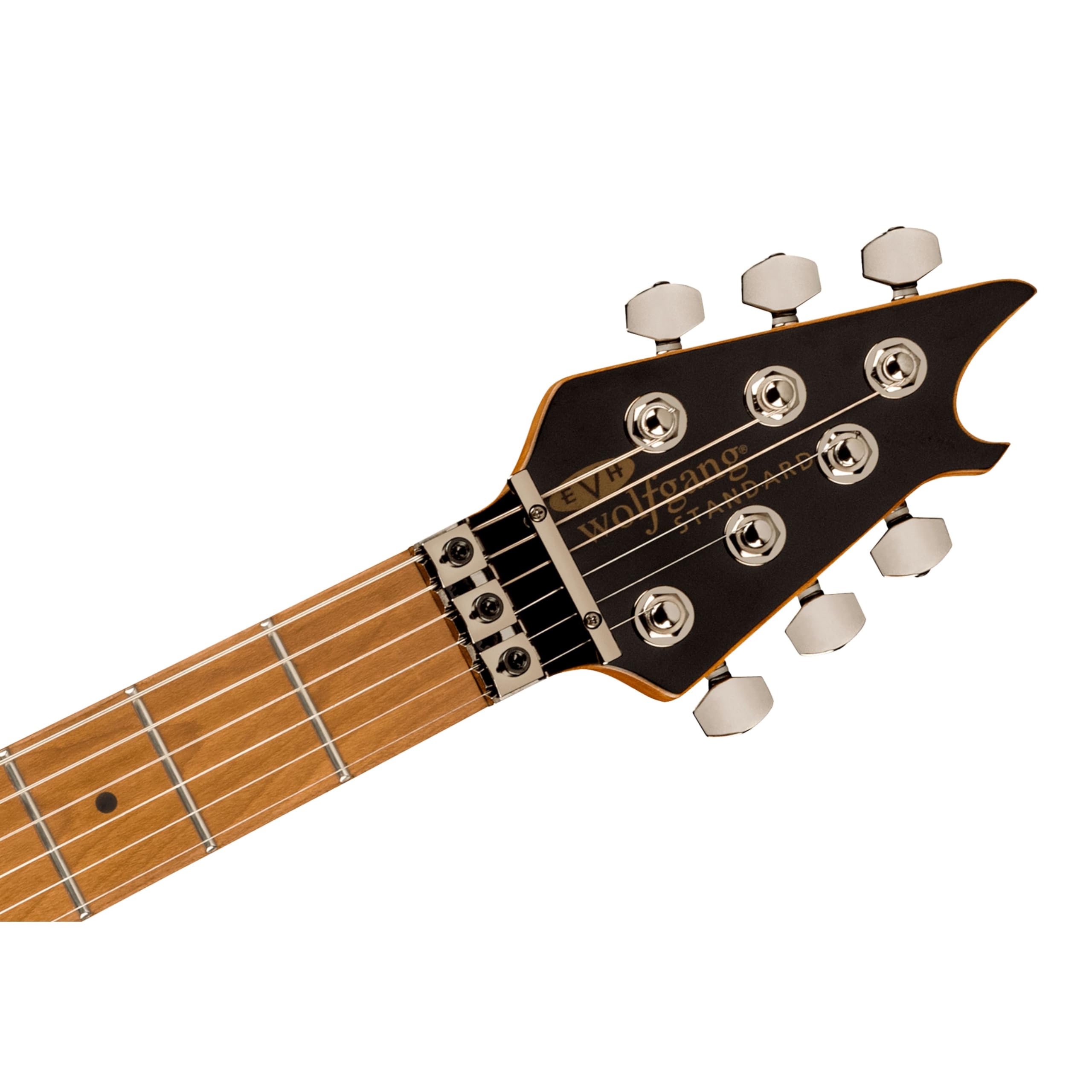 Amazon.com: EVH Wolfgang WG Standard Exotic Zebrawood Electric
