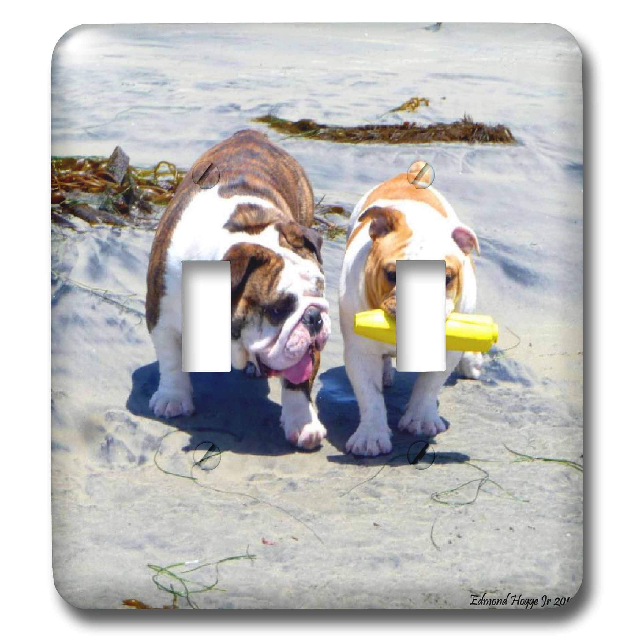 Interrupteur à baïonnette English Bulldog Stroll idéal pour sublimer un salon de passionné