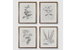 Botanical Art: Set of 4 Farmhouse Prints for Vintage Wall Decor