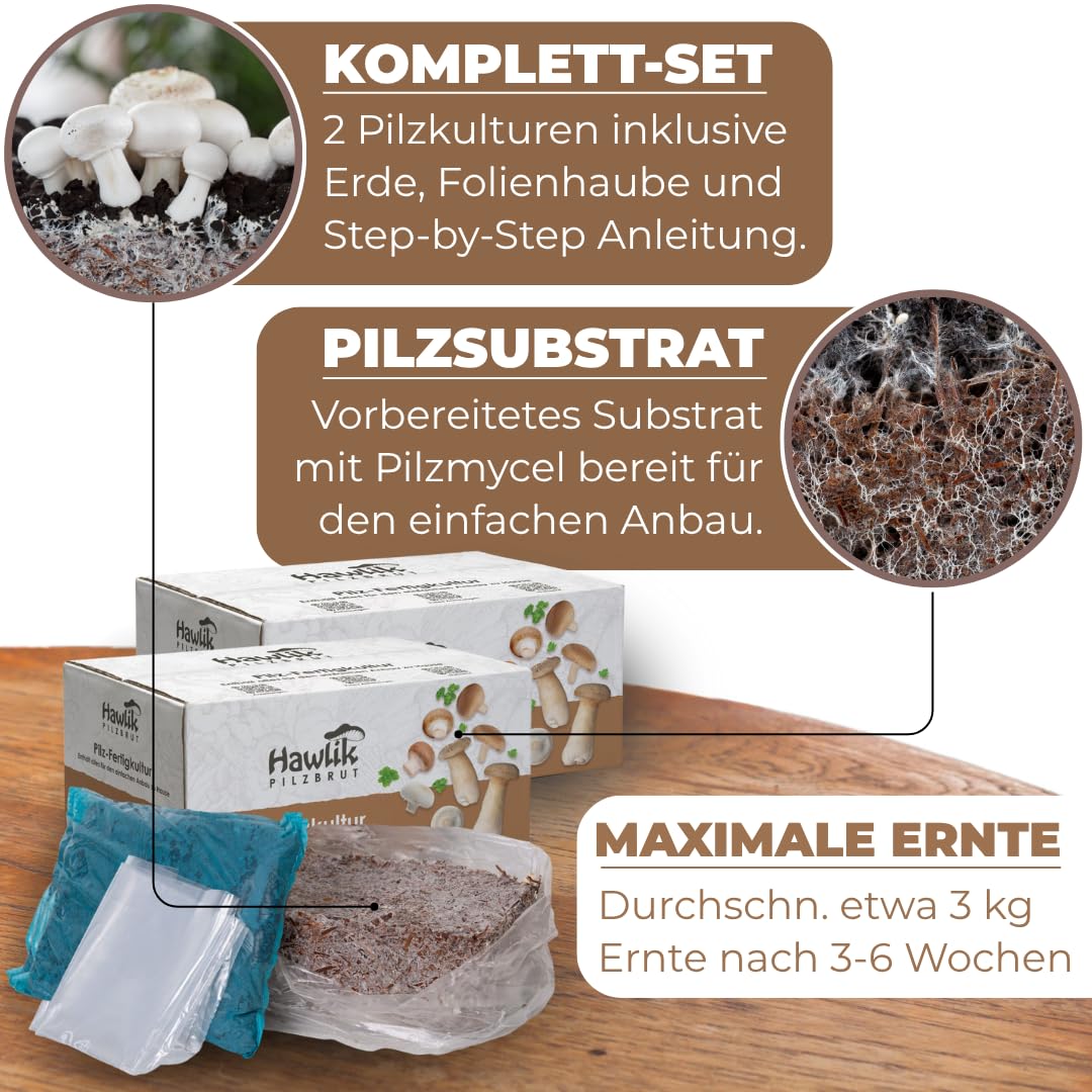 Hawlik Pilzbrut - Champignon Zuchtset 2er Pack - Pilzzuchtbox Champignons Komplettset bis 3kg Ernte - Erntefrische Pilze Zuhause züchten - ganz ohne Garten - Mit Anleitung für Anfänger & Kinder