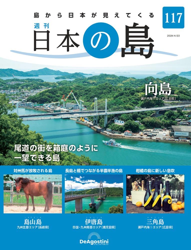 島ページ！！！ MKS / ミカシマ(三ヶ島) 】 ALLWAYS(オールウェイズ) Polished