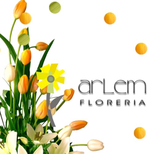 Floreria Arlem - //medicalbooks.filipinodoctors.org