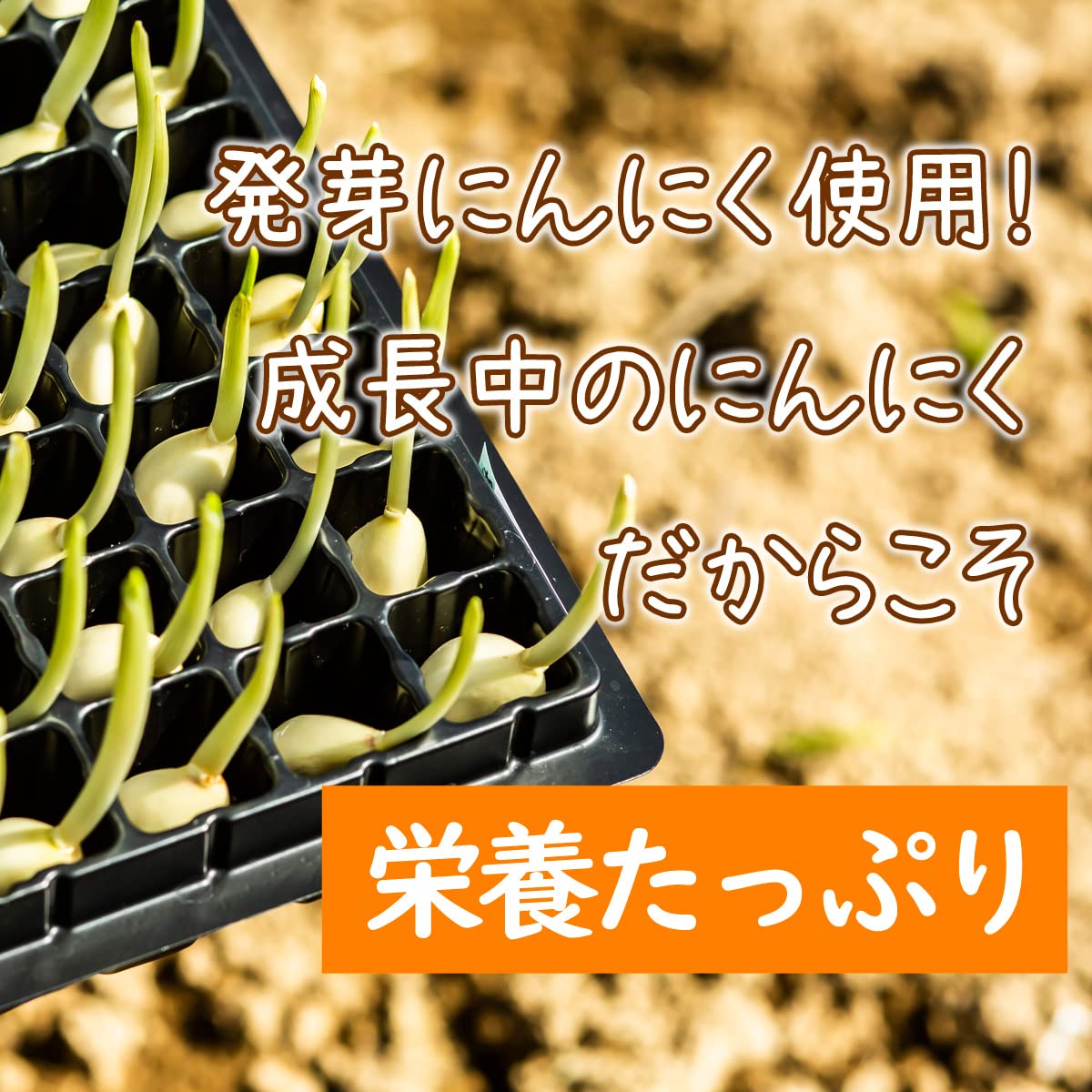 Amazon.co.jp: 鉄子の発芽にんにく卵黄 40粒入 10日分 お試し 完全無 