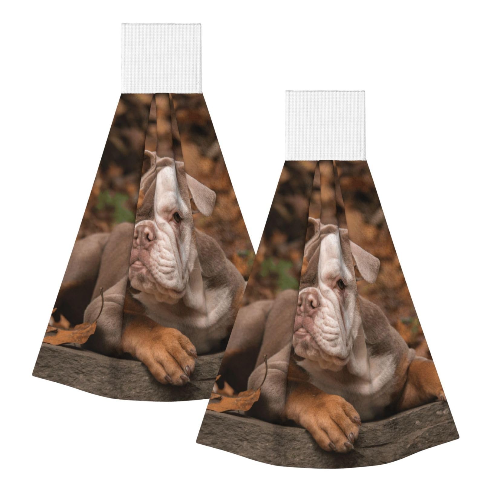 DOPKLNA American Bulldog Puppy, 2 Pcs Hanging Coral Fiber Hand Towels for Bathroom, Absorbent Kitchen Towels