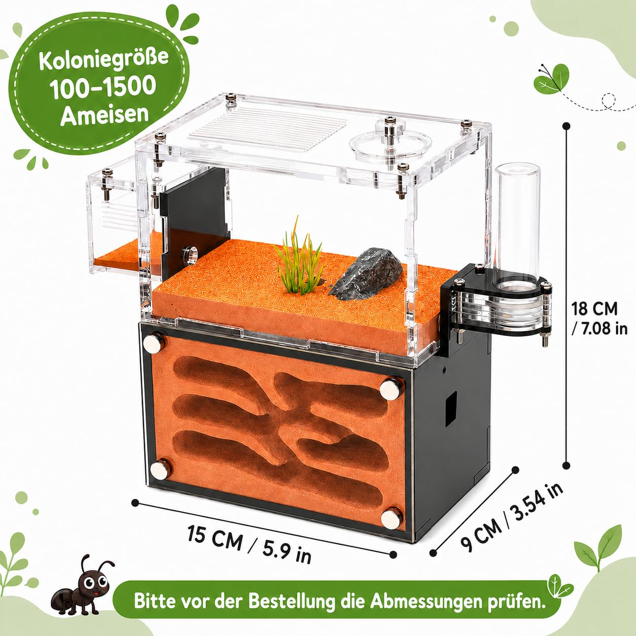 Ameisenfarm für Erwachsene - Studium des Ameisenverhaltens, Ameisennest, Terrarium, Pädagogisches Formicarium für Lebende Ameisen und Königin, Zwei Etagen