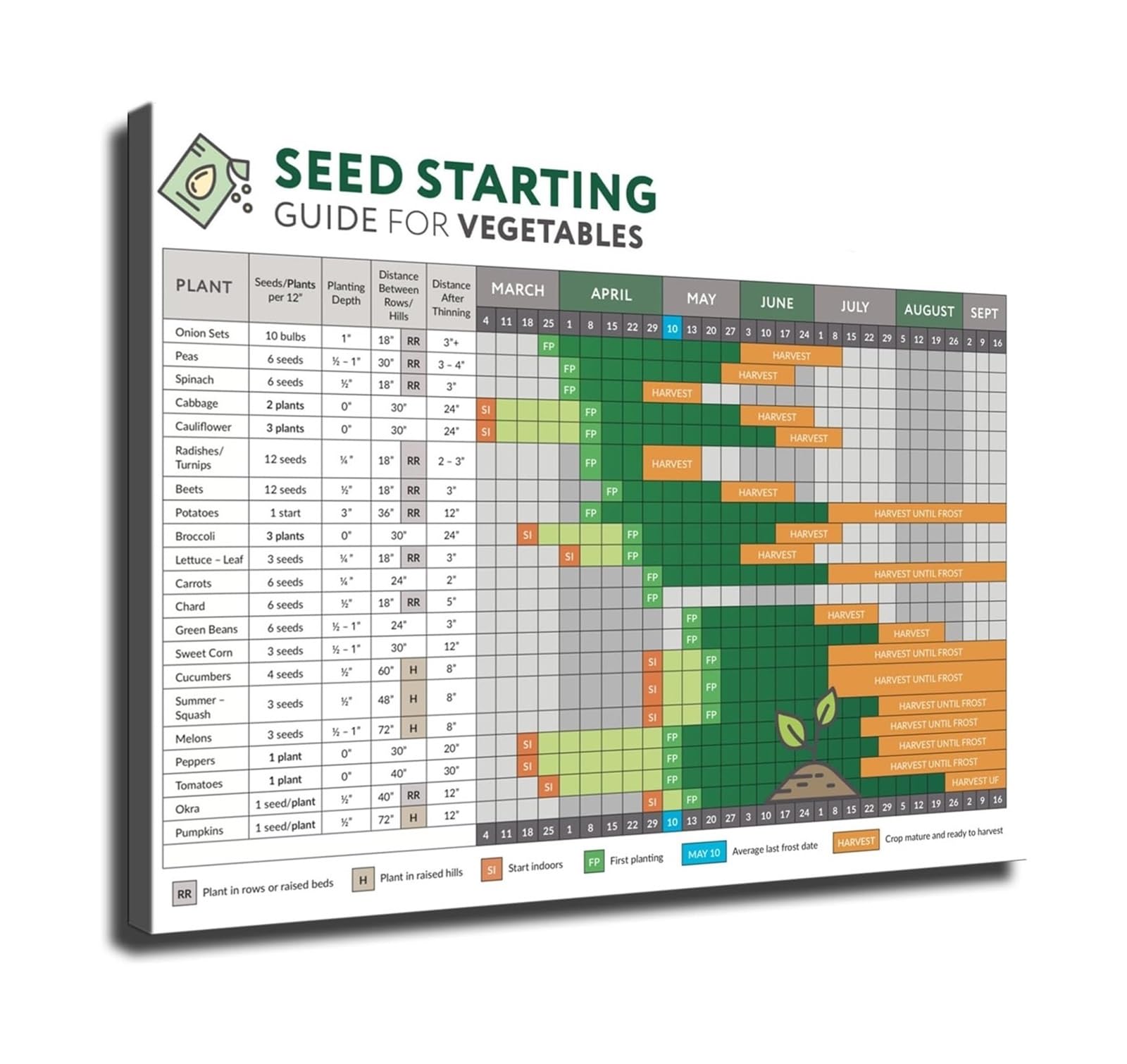 VWWJCCRO Companion Planting and Seed Starting Chart Complete Vegetable Gardening Guide Poster for Planning Your Garden(Framed,16X24inch(40X60cm))