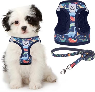 KOOLTAIL Dog Harness and Leash Set for Small Medium Dogs, Step in No Pull Soft Mesh Dog Harness Comfort Padded Pet Vest, Adjustable Reflective Easy Walking Puppy Cats Harness Training, Dinosaur S