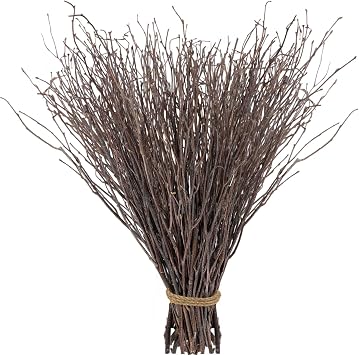 60Pcs Real Dried Birch Twigs Branches 16 Natural Decorative Birch Branches