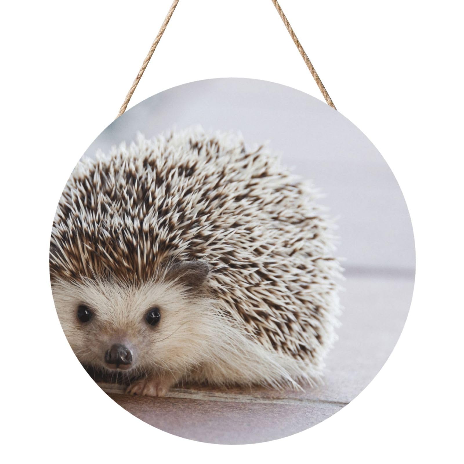 InOmak Hedgehog Printed, Round Wood Panel Painting 12 in, Wall Hanging Painting For Home