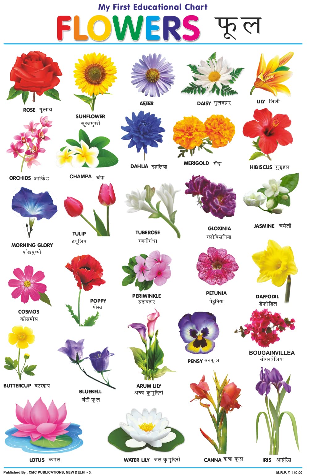 Flower Educational Wall Chart For Kids Both Side Hard Laminated (Size