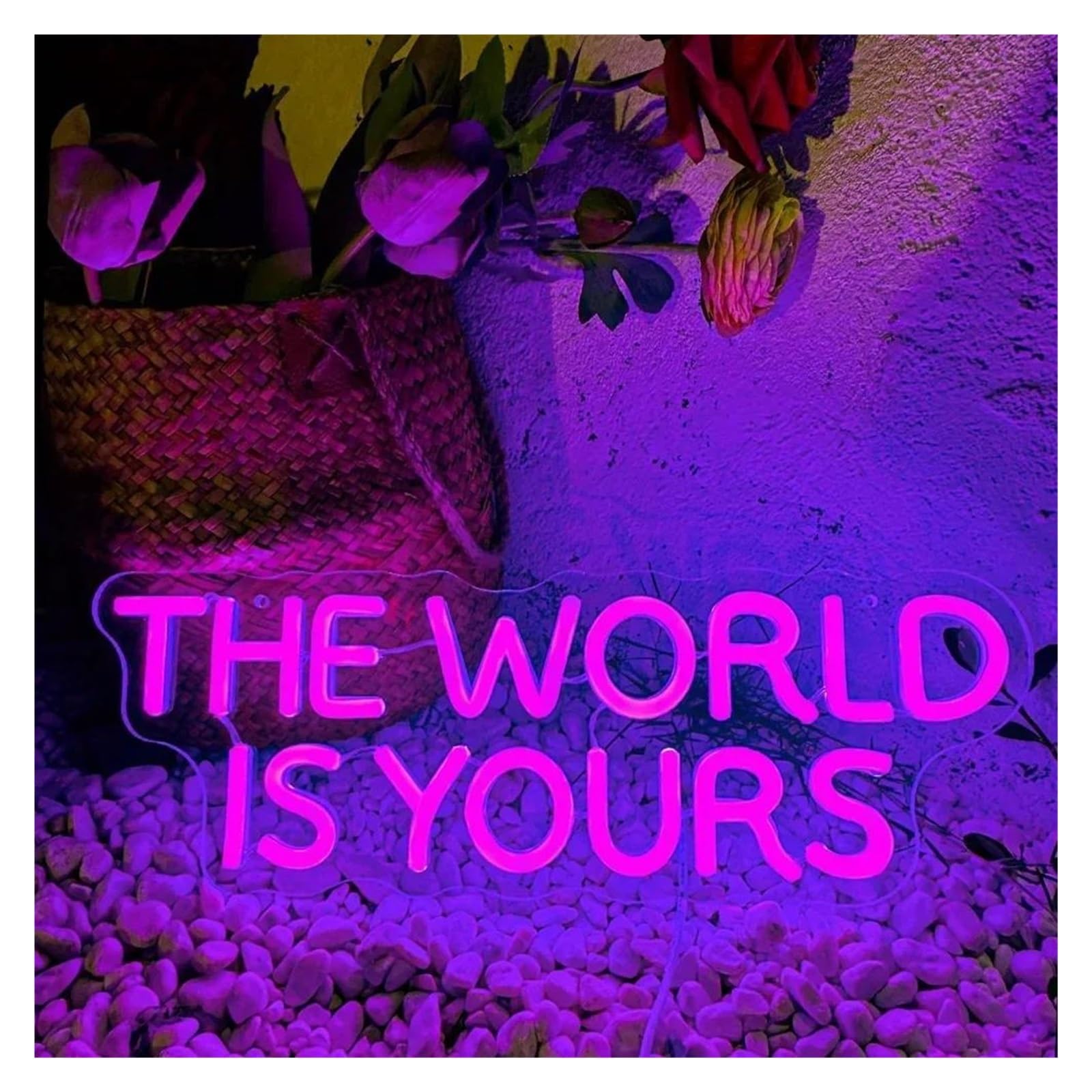 SHOUXI Sign Lamp The World is Yours Neon Sign, Light for Wall Decor, USB Power for Man Cave Home Bar Bistro Club Cafe Game Room 39cmх14cm(D)