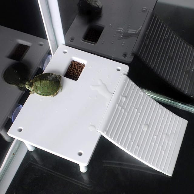 Foto 2 de 8 de Caiqinlen Rampa para Tortugas de Agua, Plataforma Flotante de Acuario para Reptiles y Newt