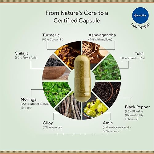 Miniatura 3 de Ashwagandha Complex with Shilajit & Moringa  820mg Adaptogenic Herbal Supplement for Stress, Energy & Immunity  11-Herb Plant-Based Blend  60 Vegan