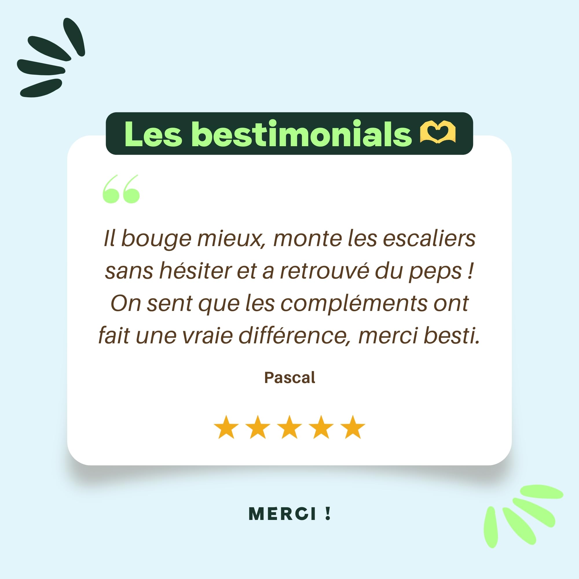 BESTI - Articulations | 120 Compléments Alimentaires Premium pour Chiens | Anti-Arthrose, Améliore la Mobilité Articulaire et le Cartilage | Marque Française - Formule Vétérinaire | Au Poulet | 300 gr