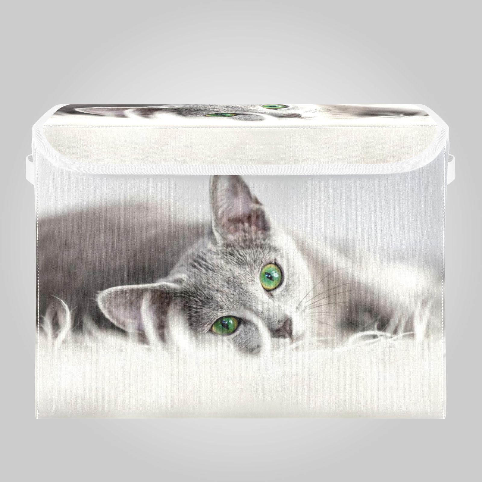 小物入れ　ボックス　（ねこ） Amazon｜収納ボックス 折り畳み式 かわいい 面白い ネコ 猫柄 収納