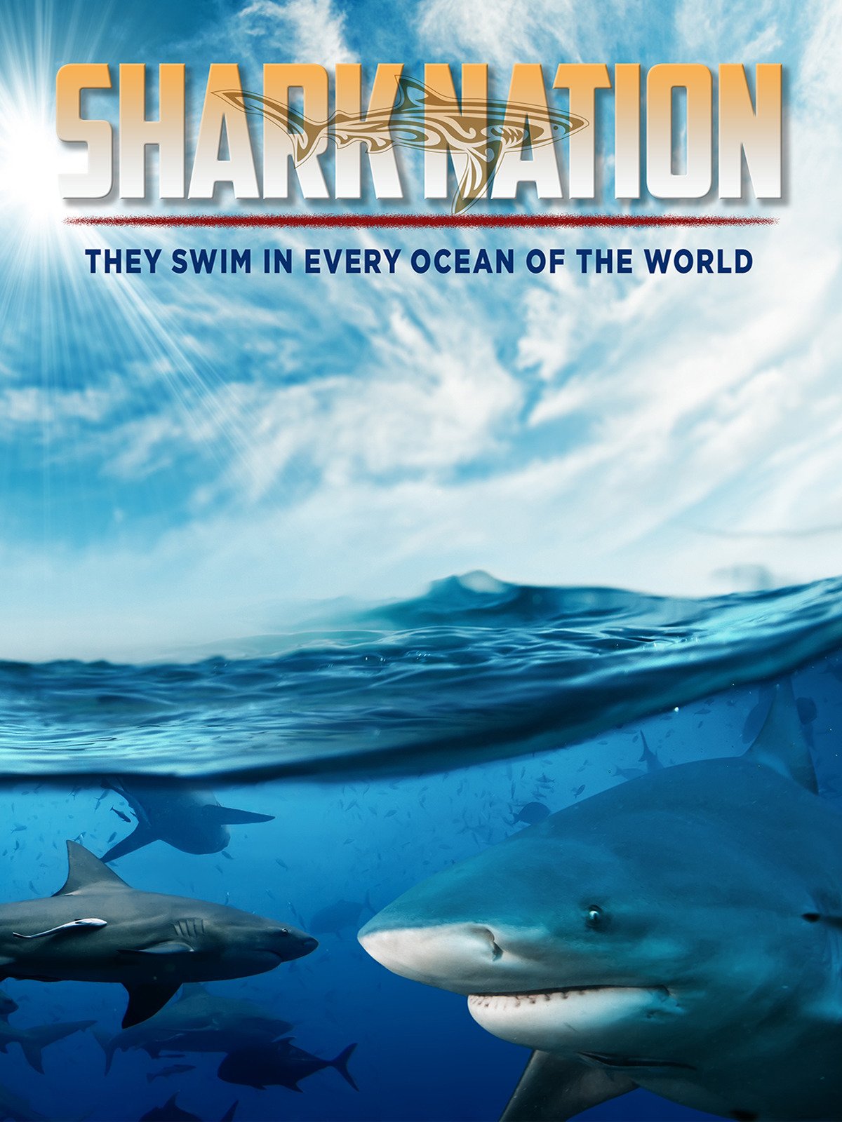 Shark Nation