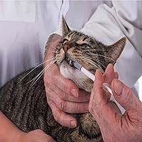 Vista 6 de 100 jeringas de plástico sin aguja de 0.0 fl oz y 1 cc para mascotas oral, rellenar, aplicar aceite o pegamento, medir o transferir pequeñas