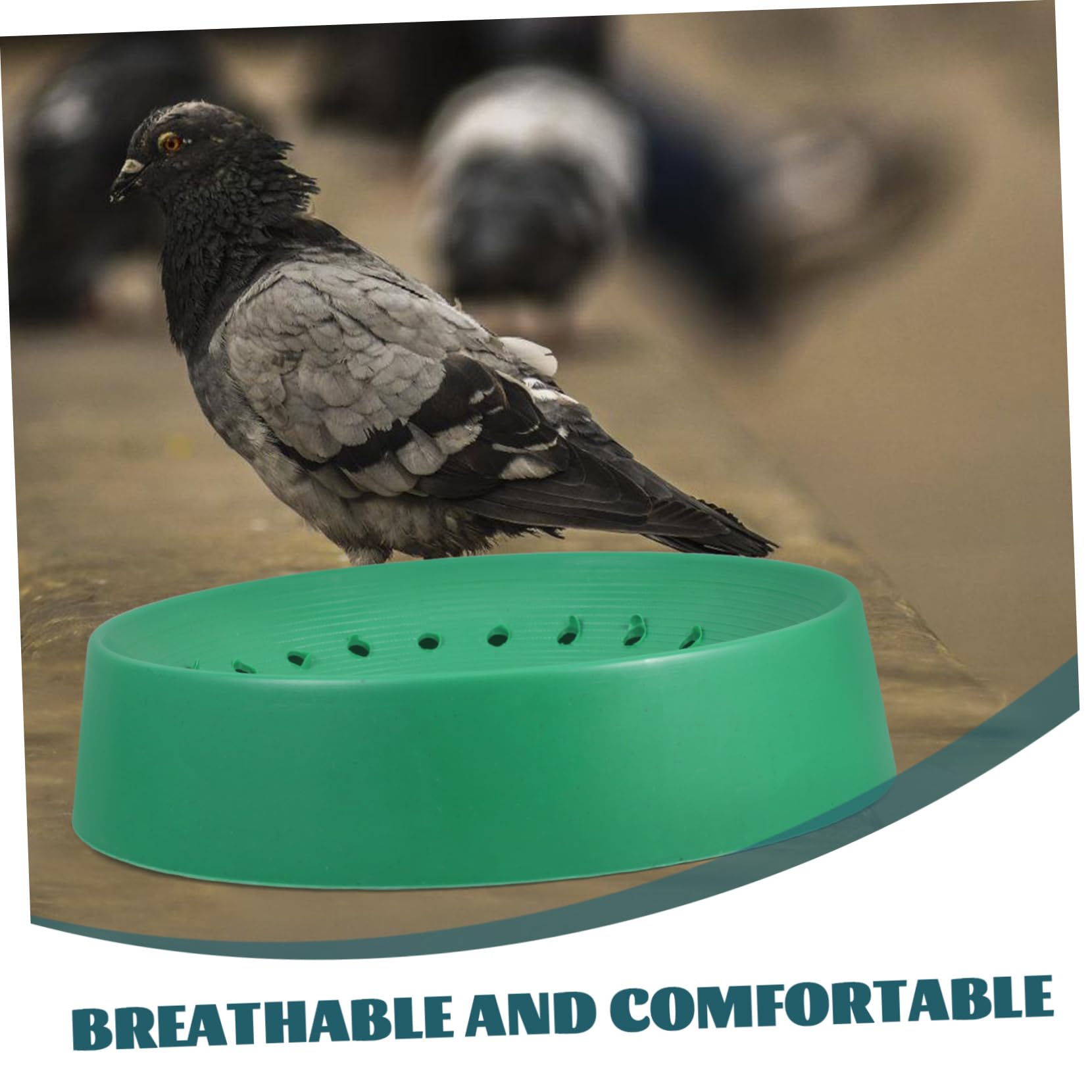 Cuencos para Nidos de Aves y Pájaros Función Resistente, Plástico Duradero, Tamaño Mediano, Apto para Jaulas de Aves, para Criadores y Aficionados Avicultura