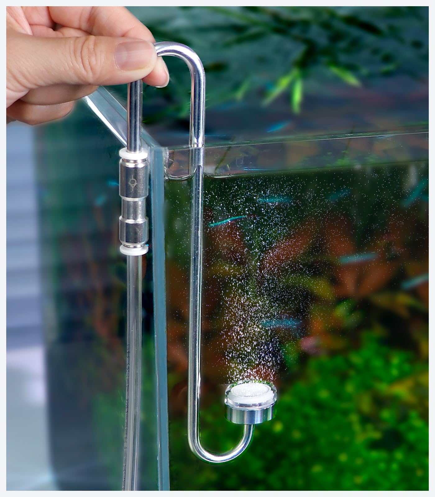 Clscea Aquarium Stainless Steel CO2 Diffuser Atomizer with Integrated Check Valve for Rimless Tanks, DC300-20