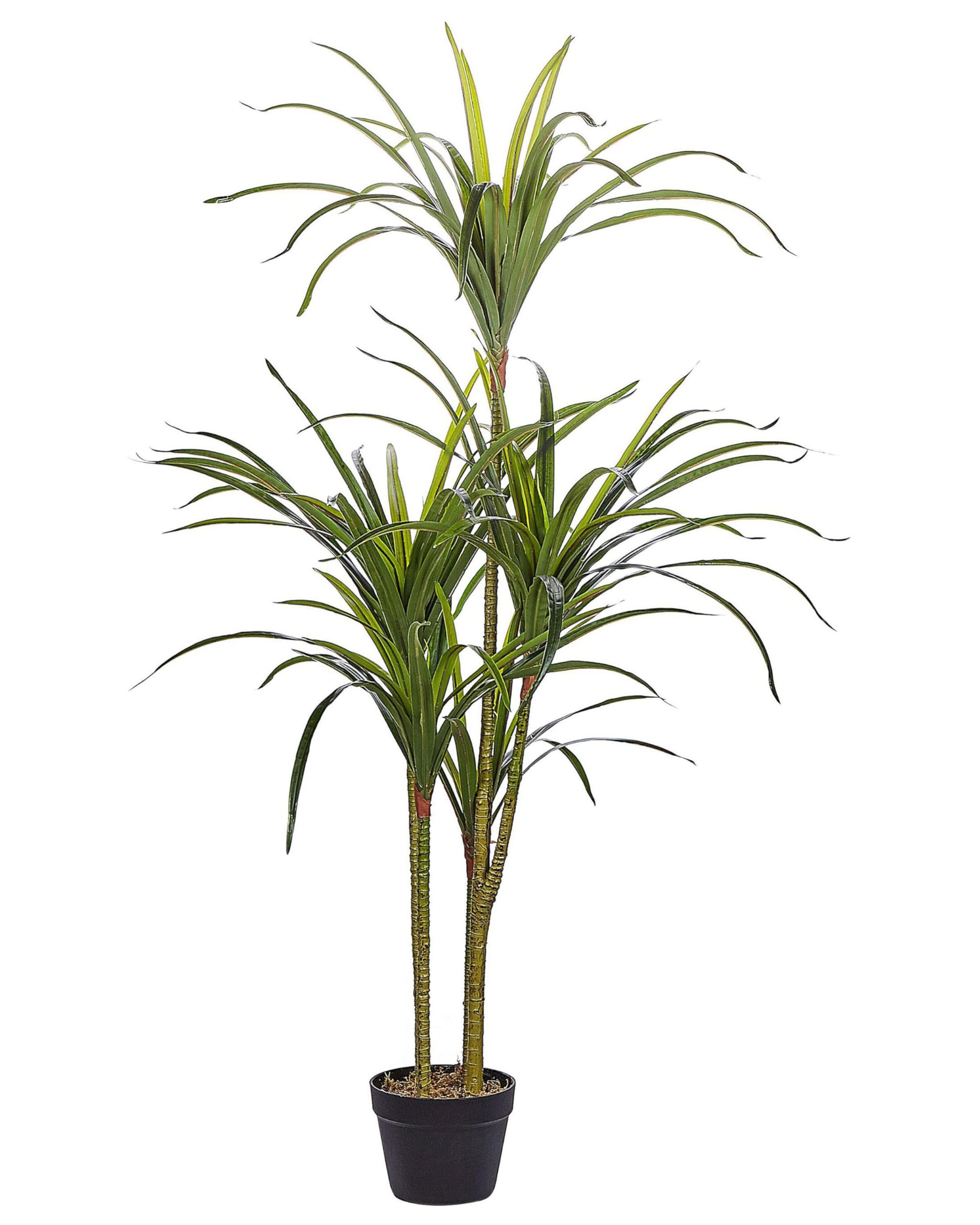 Beliani Dekorative Kunstpflanze in Drachenbaum-Form mit Topf 147 cm grün Dracaena Anita