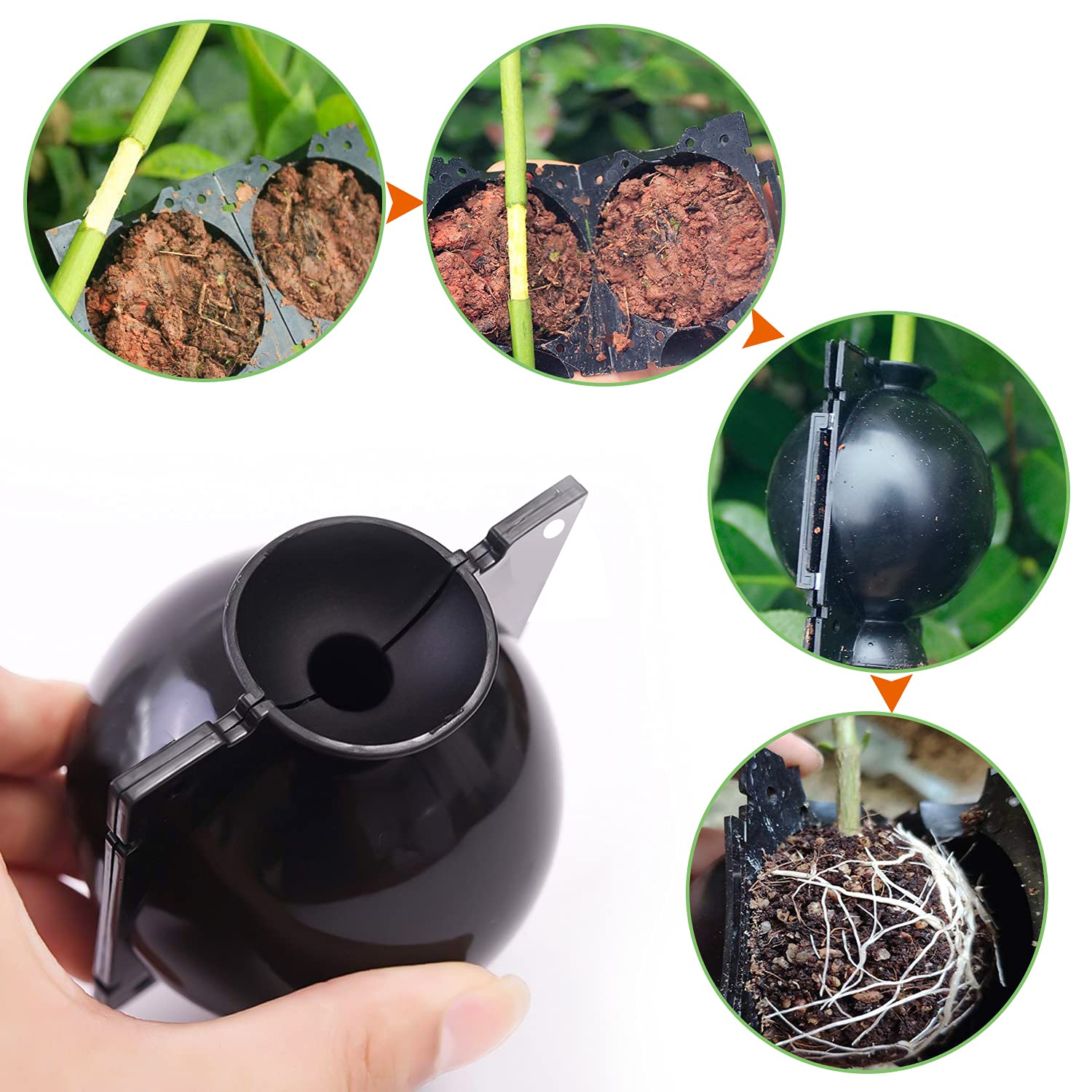 Dispositivo Di Radicazione Per Piante - Riutilizzabile, Per Innesti E Talee, Giardinaggio - Foto 6