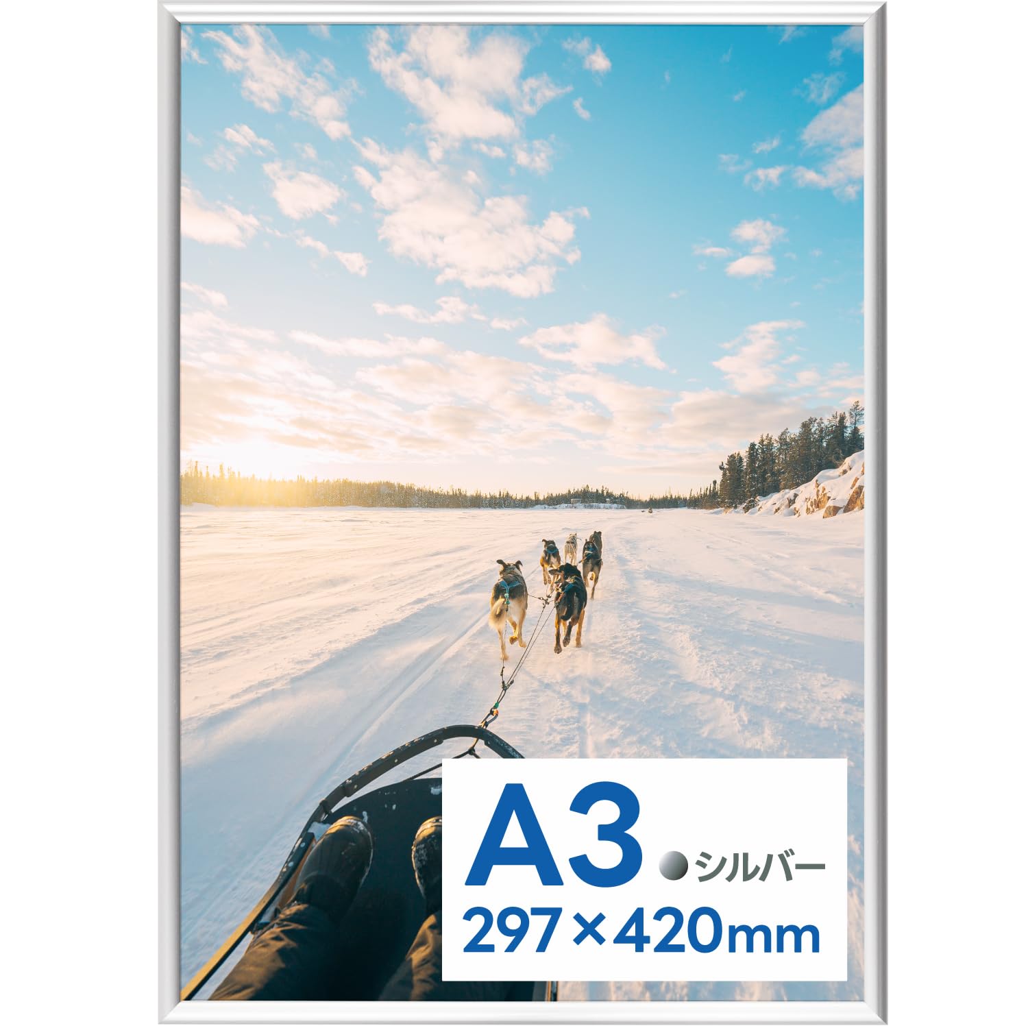 Amazon.co.jp: 【Amazon.co.jp限定】 ケンコー(Kenko) ポスター