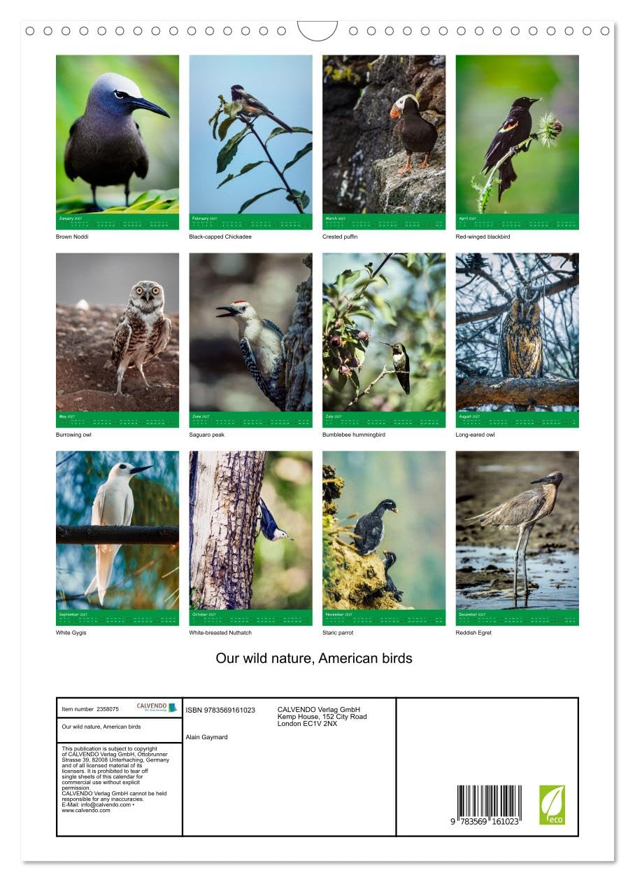 Our wild nature, American birds (Wall Calendar 2027 DIN A3 portrait), CALVENDO 12 Month Wall Calendar: Birds of the Americas