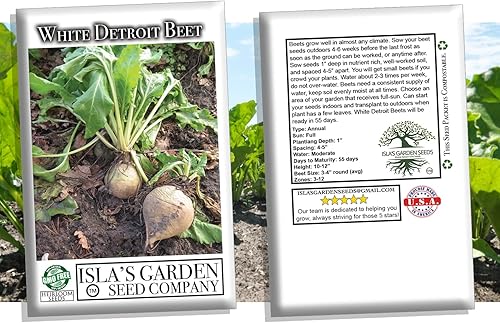 Miniatura 4 de Semillas blancas de remolacha Detroit para plantar, más de 100 semillas de reliquia por paquete, semillas de jardín de Isla (semillas de jardín de