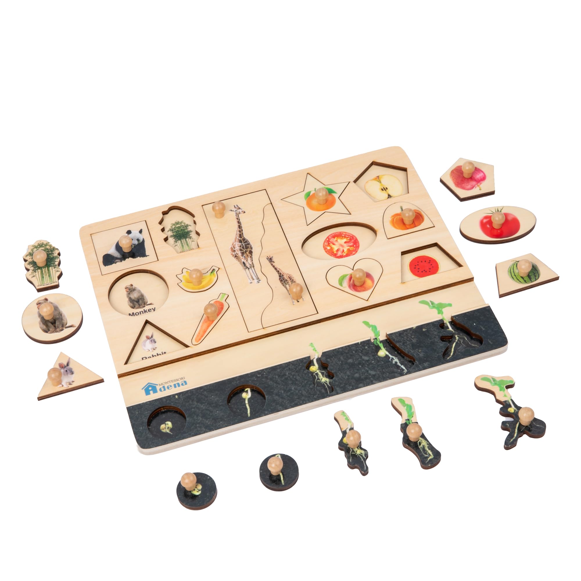 Adena Montessori Wooden Peg Puzzle Biology Animal and Fruit Matching Puzzle Vocabulary Recognition Plant Growth Puzzle for 3 4 5 Years Old Kids