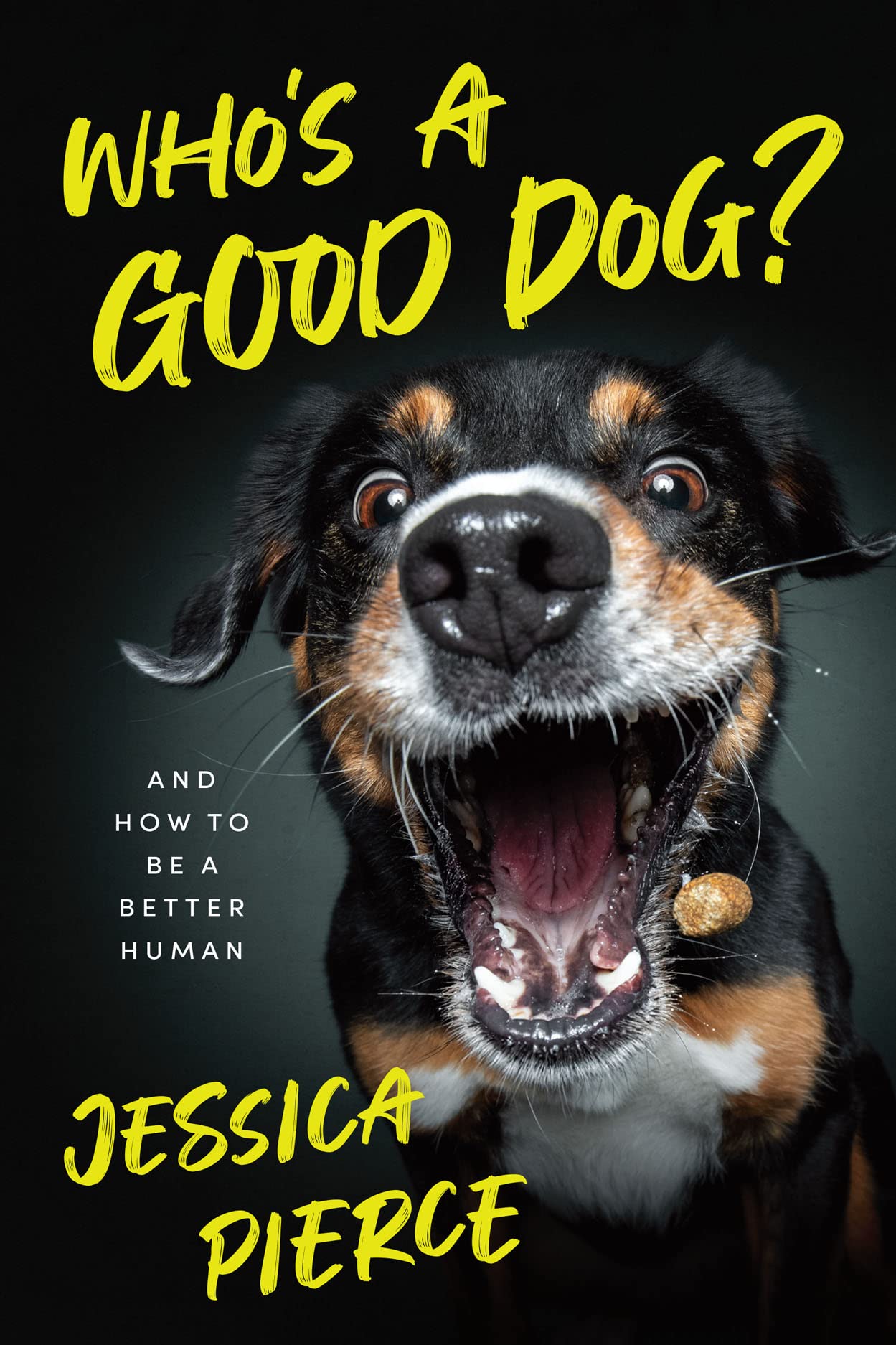 Who's a Good Dog?: And How to Be a Better Human. Pierce 9780226721712 New**
