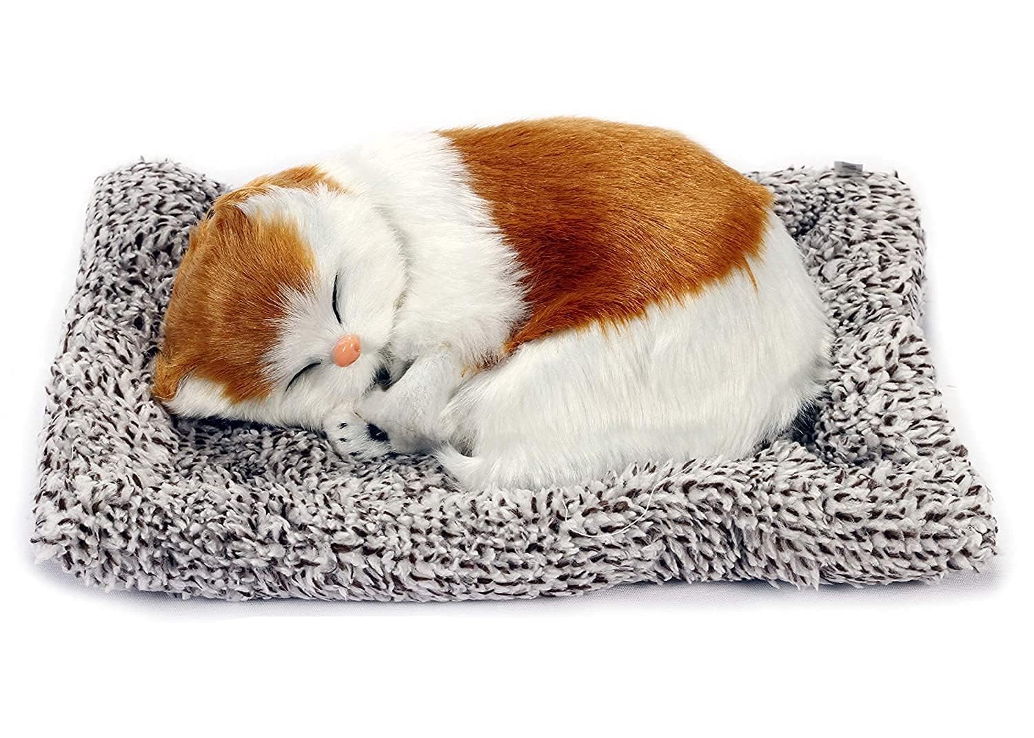 Alusters Sleeping Cute Cat for Car Dashboard and Home Decor with Activated Carbon | Car Dashboard Soft Toy Sleeping Cat (Brown White) (B0D6LQH1DG) Amazon Price History, Amazon Price Tracker