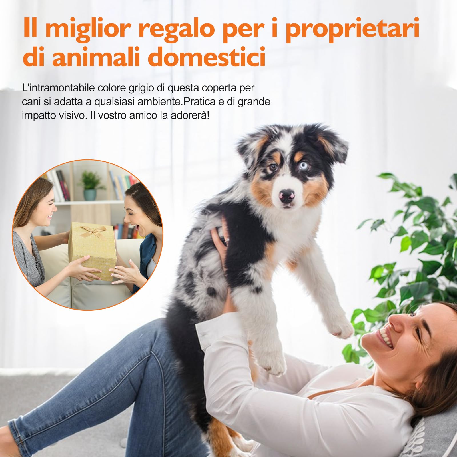 180*76cm Tappeti Lavabili per Cani,Copridivano & Copriletto Impermeabile per Cani, Tappetini Assorbenti per Cani, Tappetino per Addestramento del Cane (grigio scuro, M)