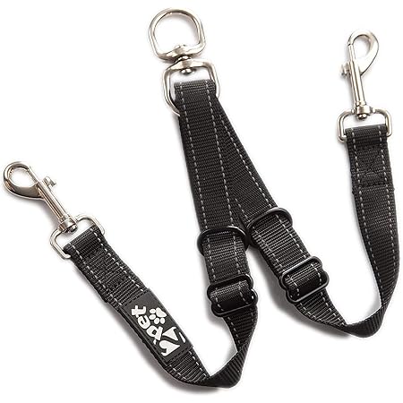 two dog lead