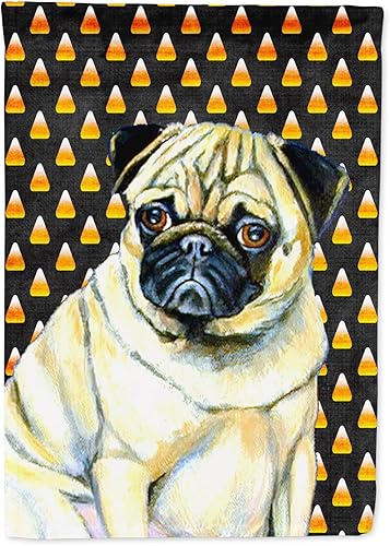 Caroline's Treasures LH9083GF - Bandera decorativa para patio exterior, patio, jardín, retrato, maíz, jardín, jardín, jardín, multicolor, LH9083GF