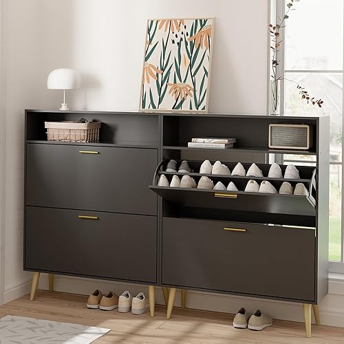 LYNSOM Juego de 2 zapateros, organizador de zapatos con 2 cajones abatibles, moderno almacenamiento de zapatos de entrada con pantalla superior,