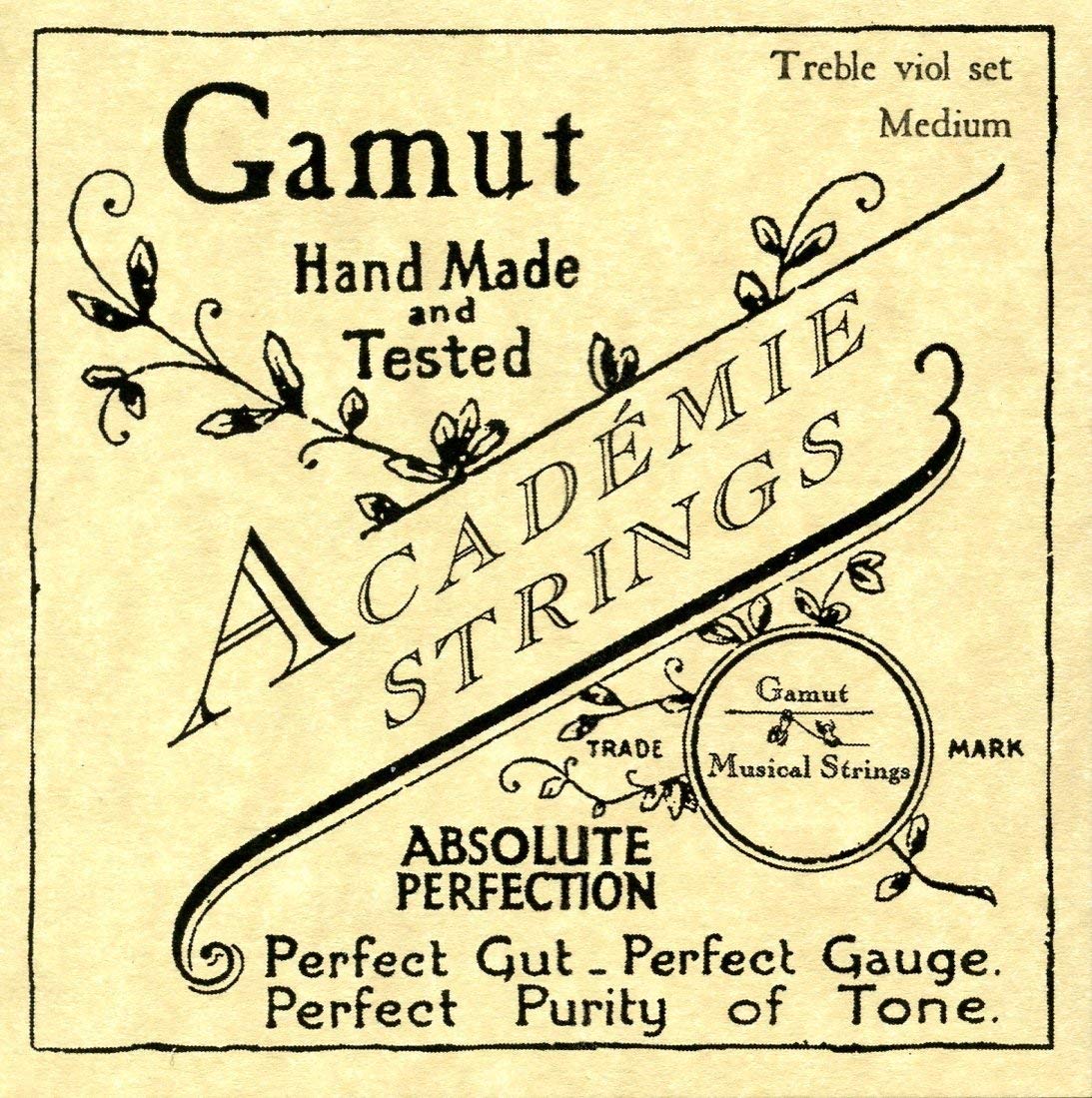 Set Academie Treble Viol Strings Medium Gauge
