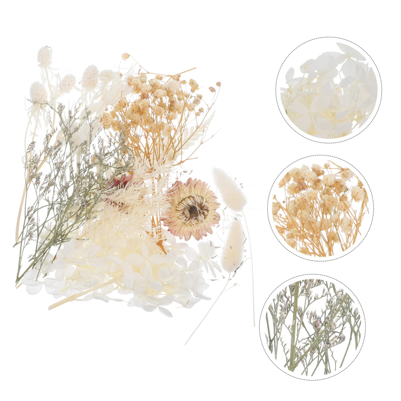 STOBAZA 4sätze Getrocknete Blumen Für -projekte Gepresste Blumen Für Resin Kerzen Und Kreative Bastelideen Für Kunsthandwerk Und Dekoration