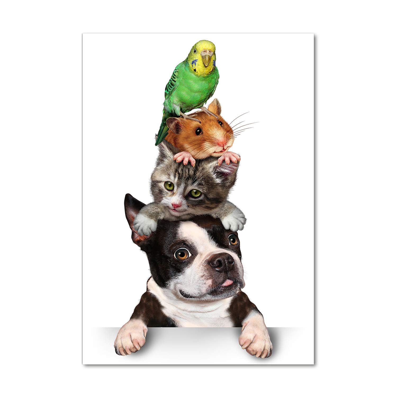 Tableaux pour la mur Tulup animaux multicolores en verre acrylique 70x100 cm