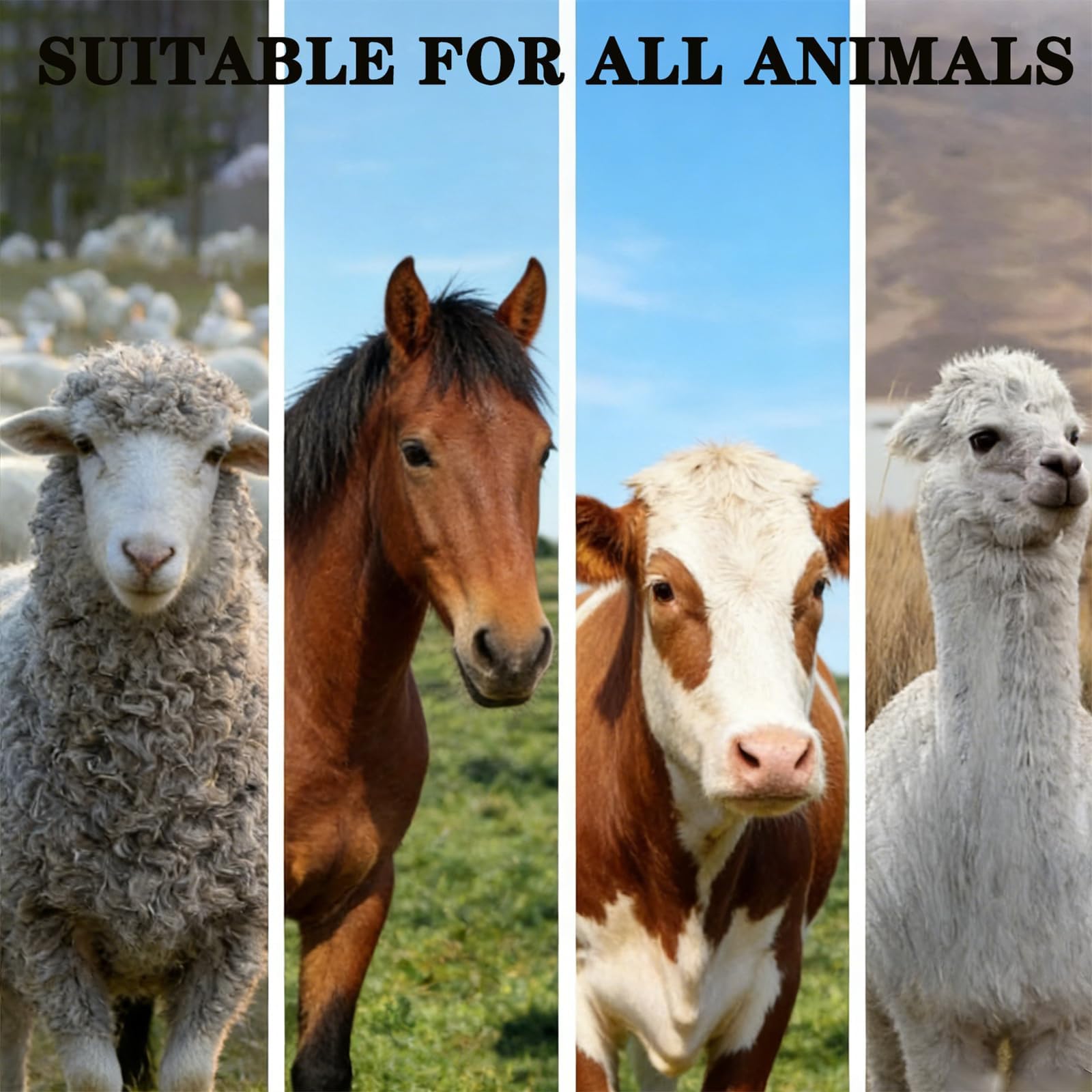 Comedero for Cabras De Acero Inoxidable (50/100/150 Cm), Gran Capacidad, con Bandeja De Alimentación Más Profunda, for Uso En Granjas Al Aire Libre, Terneros, Ovejas Y Caballos(50CM)