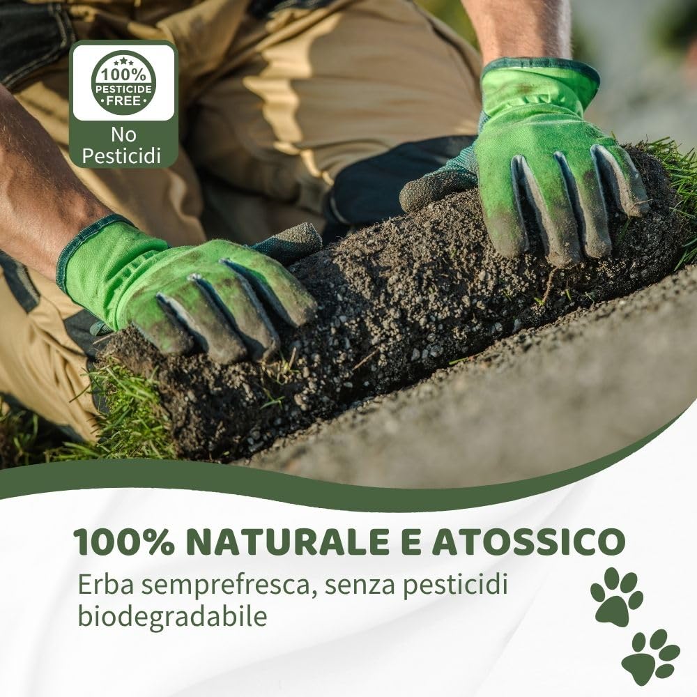 Kit XL cane PetZolla - Lettiera per cani in Vera Erba con Vassoio Riutilizzabile 100X90 cm, Traversine cane 100% Naturali e Atossiche, Toilette per cani in vero prato dura fino a 4 Settimane