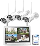 [16CH Expandable] Hiseeu Home Security System, 2.4G/5G Wireless WiFi Pro, 4K NVR with 12