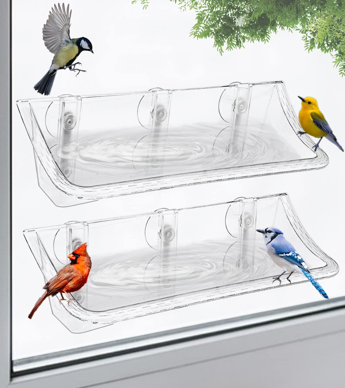 AnBaiMei Clear Window Mounted Bird Feeder Bath