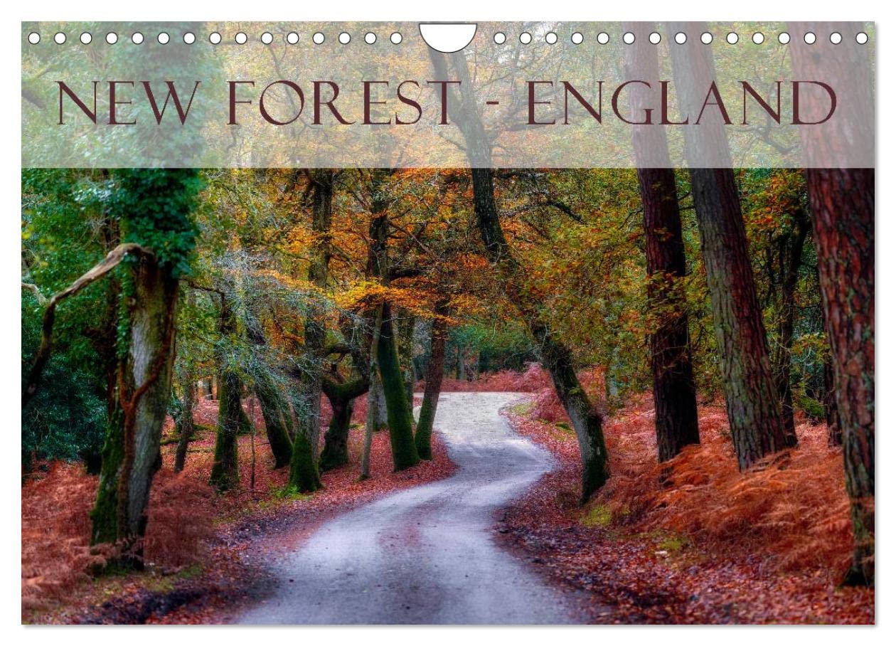 New Forest - England UK-Version (Wall Calendar 2026 DIN A4 Landscape), CALVENDO 12 Month Wall Calendar — image 1