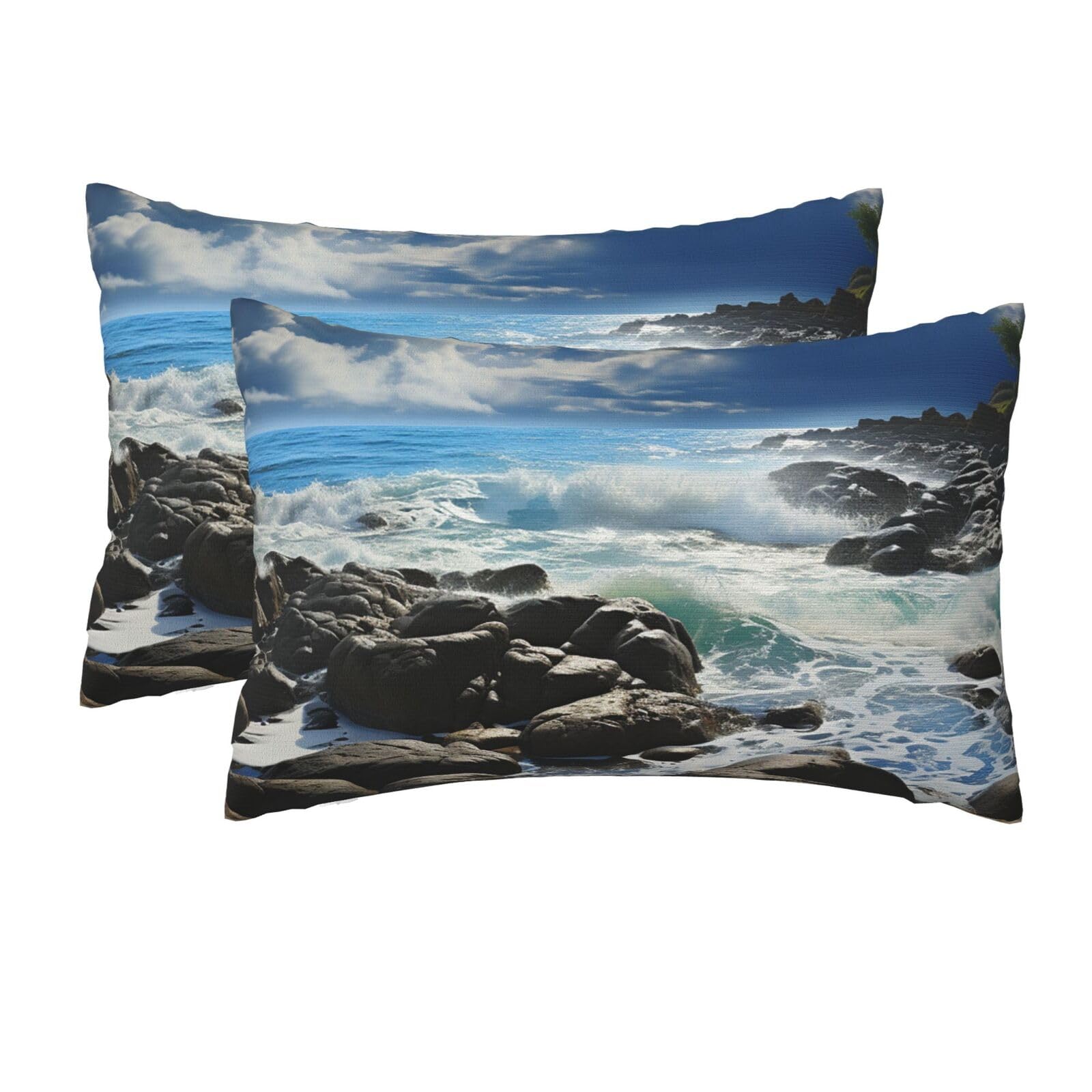 2 Pack Queen Pillow Cases with Hidden Zipper, Soft Breathable Pillow Covers for Hair and Skin, Ocean Pouring Over Coastal Rocks Pillowcases 20"x30" Bed Pillow Protectors Cover for Sleeping Gifts