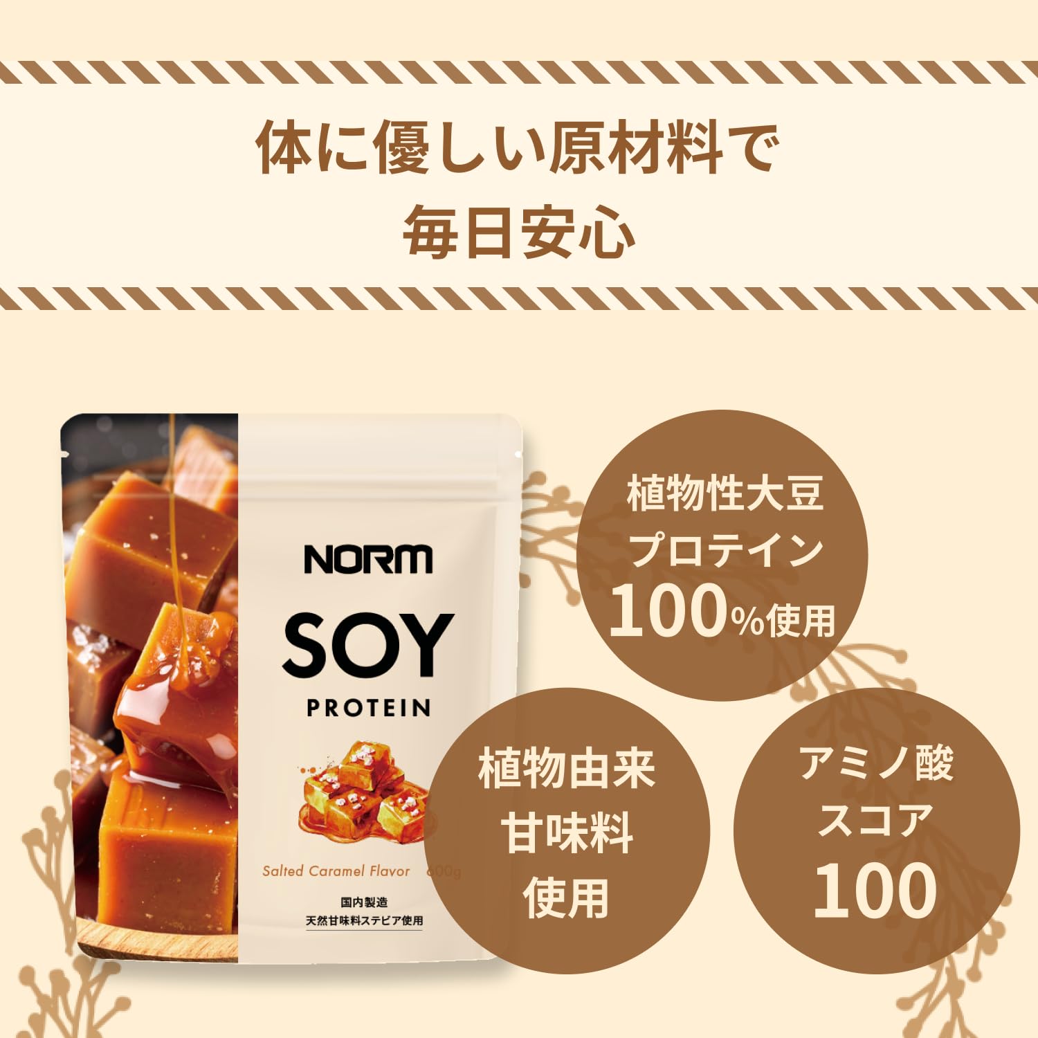 Amazon.co.jp: NORM Soy Protein, Salted Caramel Flavor, 21.2 oz