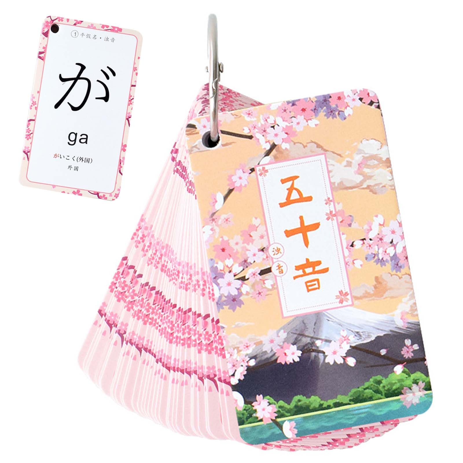 Amazon.co.jp: PAVIKE ひらがなカード 平仮名カード 片仮名カード