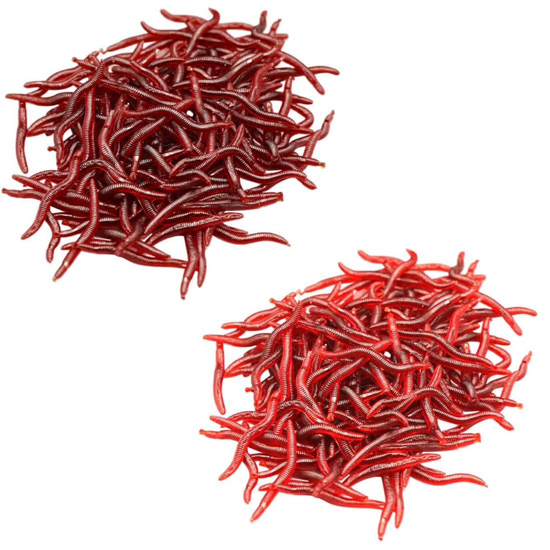 Senven Ver Artificiel, Silicone Doux Biomimetic Leurres Ver Leurres de pêche Simulation vers Rouges en Plastique Vert Environnement Fort Tentation Appât Faux - Rouge foncé 100Pcs Senven Ver Artificiel, Silicone Doux Biomimetic Leurres Ver Leurres de pêche Simulation vers Rouges en Plastique Vert Environnement Fort Tentation Appât Faux - Rouge foncé 100Pcs